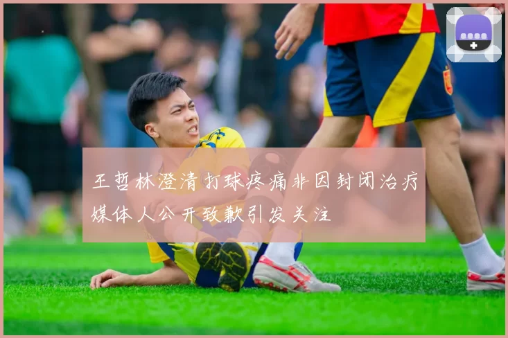 王哲林澄清打球疼痛非因封闭治疗媒体人公开致歉引发关注