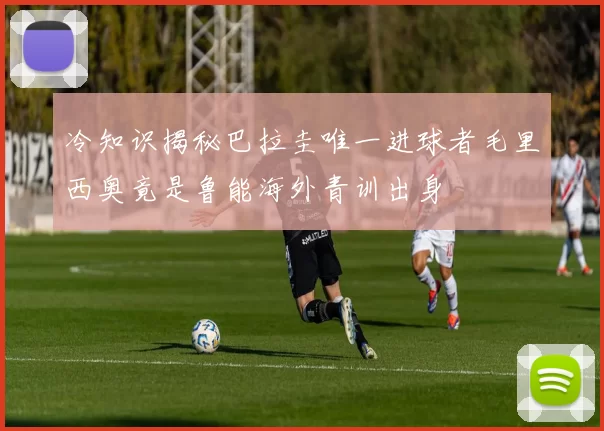 冷知识揭秘巴拉圭唯一进球者毛里西奥竟是鲁能海外青训出身